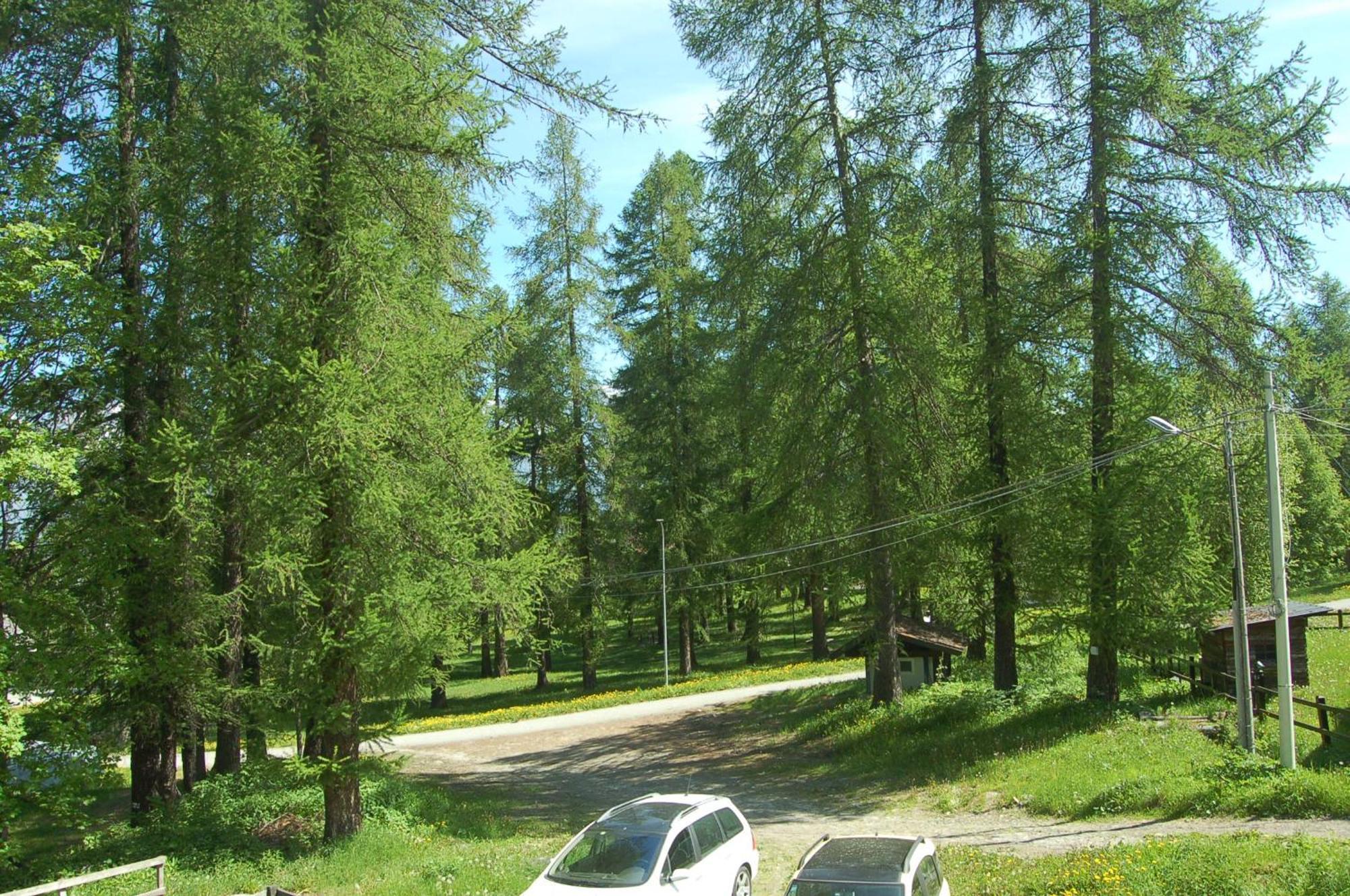 Montagna Che Passione Appartement Chiomonte Buitenkant foto