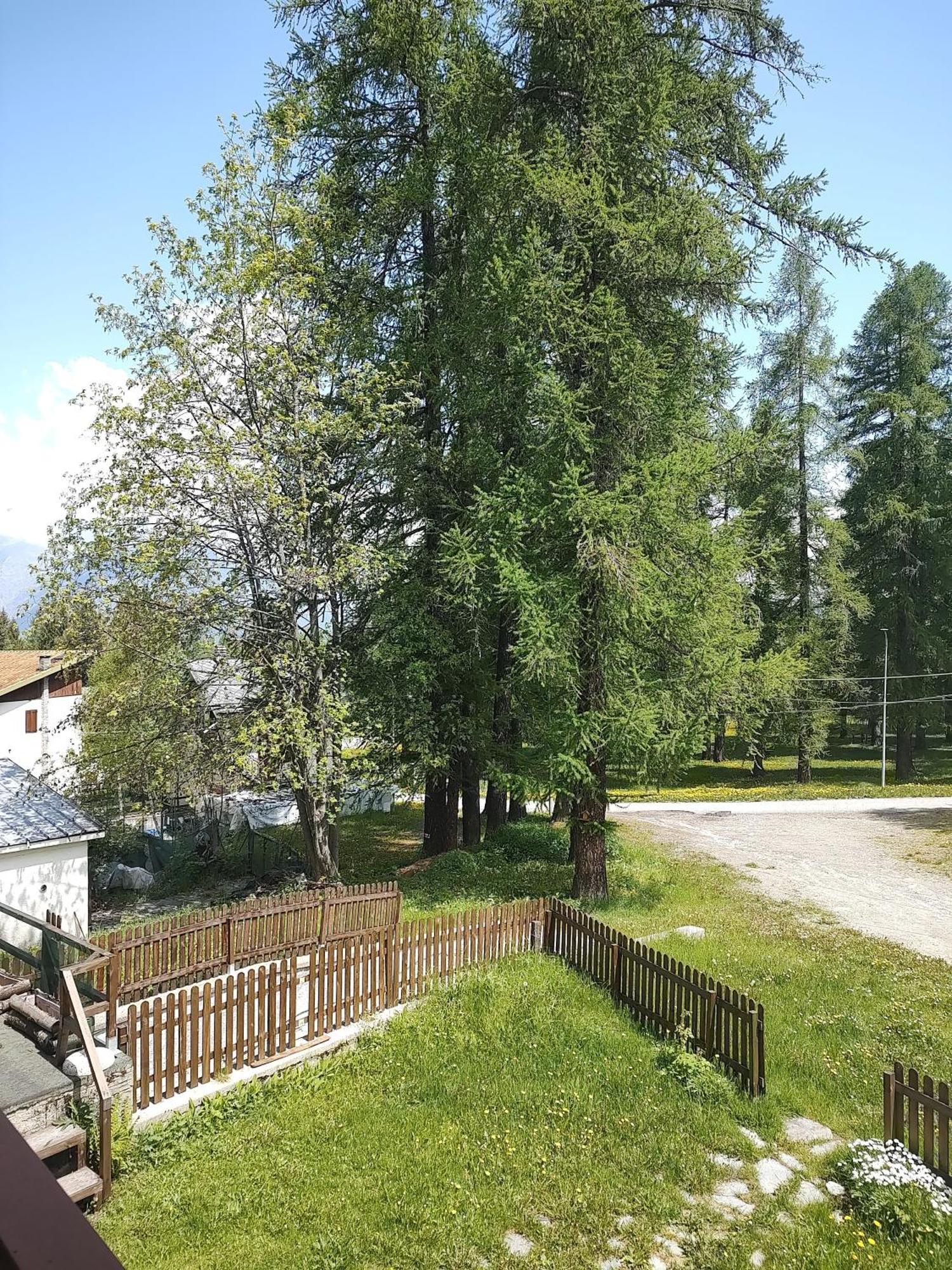 Montagna Che Passione Appartement Chiomonte Buitenkant foto